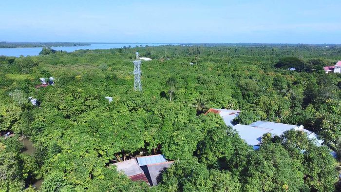 Cù lao Tân Phú Đông – miền sông nước mát lành giữa lòng Đồng Tháp